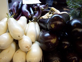 Bt aubergines
