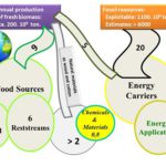 Applications of biomass: for energy production (right) vs. materials production (middle).