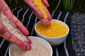 Gouden rijst