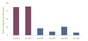 Insects graph