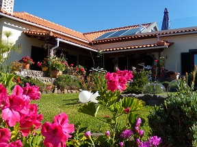 Solar panels