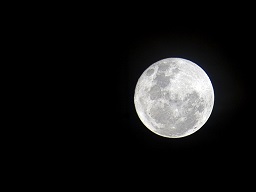 Moon