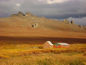 Tundra at the Bering strait