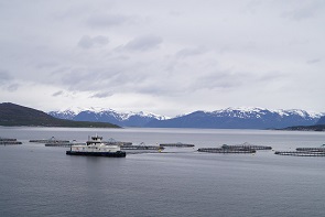 fish farms