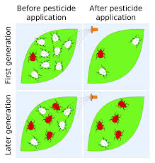 resistentie tegen pesticiden