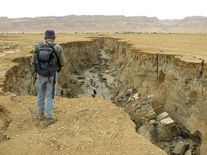 carbon storage in the soil