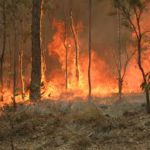 opwarming van de aarde Australië