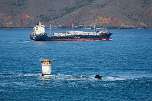 shipping