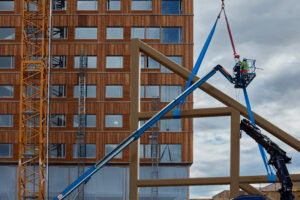 flat in mass timber