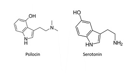 serotonin