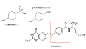 Werking van de sulfa's