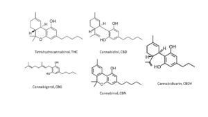 Cannabinoïden