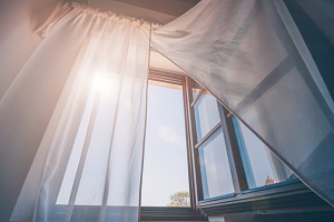 streptococci may have come trhough the open window