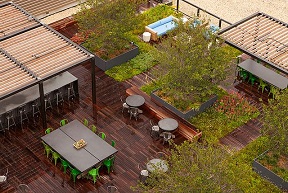 rooftop garden