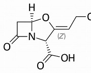 clavulanic acid