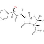 Ampicillin