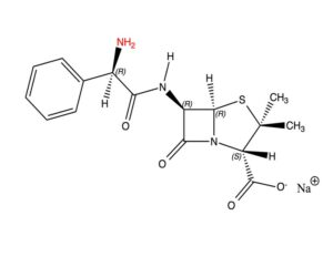 Ampicilline