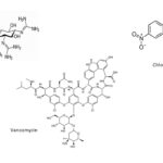 Vancomycin