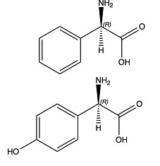 fenylglycine, hydroxyfenylglycine