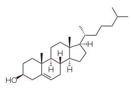 cholesterol