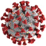 virus