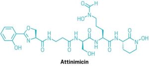 nieuwe antibiotica