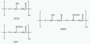 Polyhydroxyalkanoaten