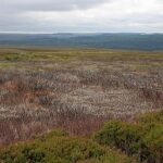 methane emissions from moors