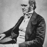 Charles Darwin, de vader van de evolutietheorie.