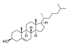 cholesterol