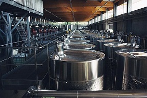 fermentation tanks