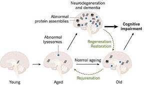 Immortality bioscienc