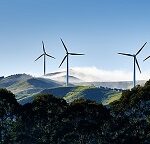How to store an excess of wind energy? Te Apiti Windfarm. Photo Geoff McKay, Wikimedia Commons.