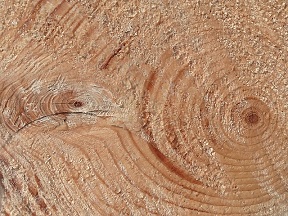 wood