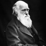 Charles Darwin op latere leeftijd. Foto: Julia Margaret Cameron, Wikimedia Commons.