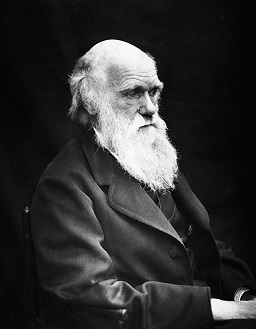 Charles Darwin old