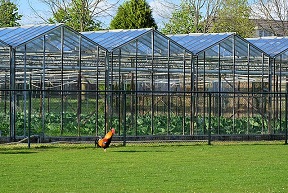 horticulture