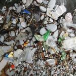 Plastic afval is een veel voorkomend probleem. Hier in Ivy Cove, South Devon, Engeland. Foto: Partonez, Wikimedia Commons.