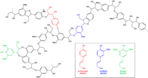 verwaarding van lignine