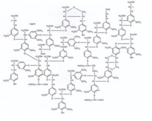 verwerking van lignine