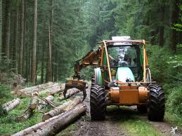 Forest residues