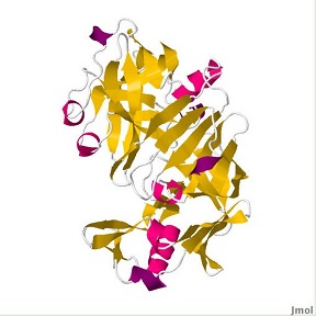 Chymosine