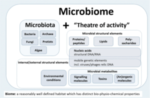 microbiome