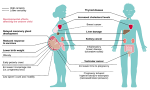 Exposure to PFAS